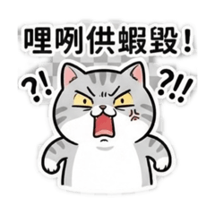 咘咘的日常語言