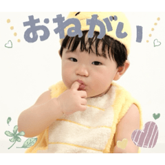 tyutyumaru_20260131173958