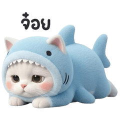 meowmeowshark big
