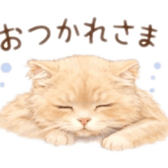 Booom!_20260131202036