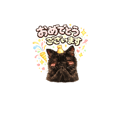 jiiji_20260131202225