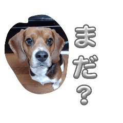 motokatsu_20260131201822