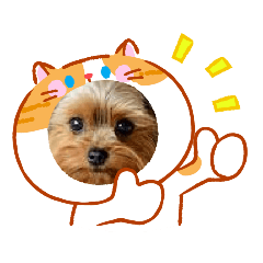 ALISU_20260131201716