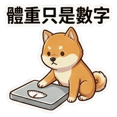 古哥哥040☆廢廢阿柴☆體重只是數字