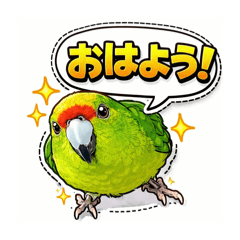 Mocha15_20260131222341