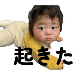 haruka_20260130175318