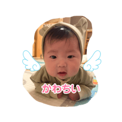 China_20260131191315