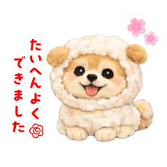 CHIHIRO_20260131193932