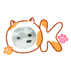 tomato_20260131205457