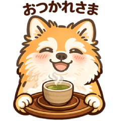 Apricot Pomeranian Sticker