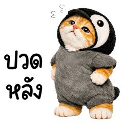 เจ้าแมวส้มชุดเพนกวิ้นน่ารัก