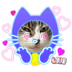 Lukmeewarintorn_20260131213201