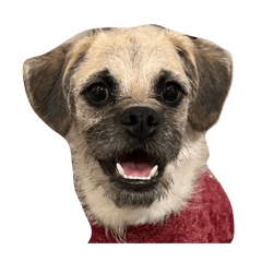 riiiii_20260131211043