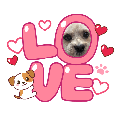 daikon_20260131211736