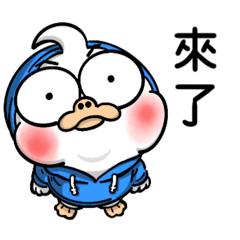 Little Goose Everyday Life