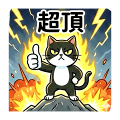 嗆辣賓士貓：受夠了