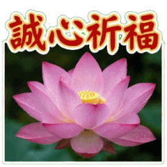 Morning: Sunshine & Hope part1