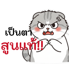 My Happy_20260201104052