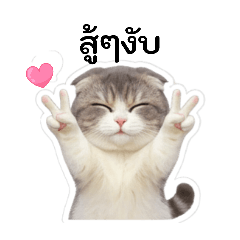 My Happy_20260201103313