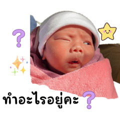 Yammy_20260201105800