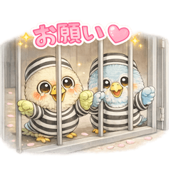 pupitora_20260131045641