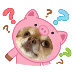 nini22_20260131215637