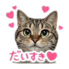 muginagizen_20260131215222