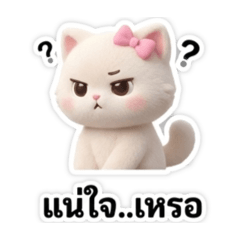 M . KB_20260201122420