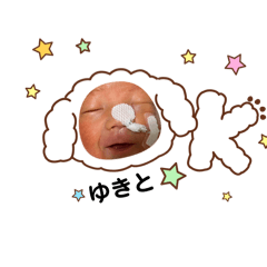 sakupanda_20260131221012