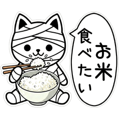 PONOPIMCHAN_20260131221304