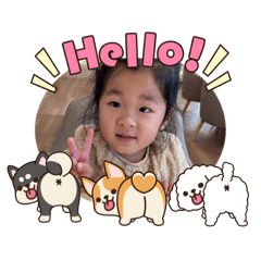 y.y.y_20260131223126