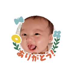 yuka_20260131223459