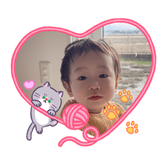 haruka_20260131235004