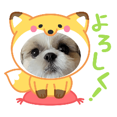 maitaroh_20260131234326