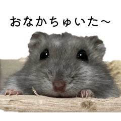 minnie_20260131235920