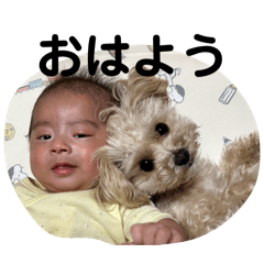 ayumi_20260131235824