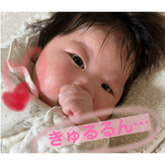 ayachi_20260131235952