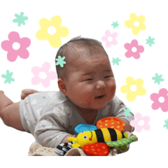 kamekame_20260131231704