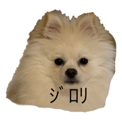 Ponchu_20260131233256