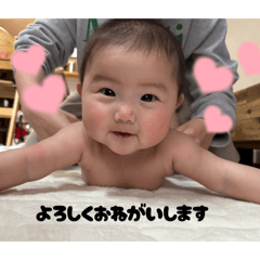 yukari_20260131233646