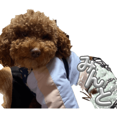 manato_20260131221903