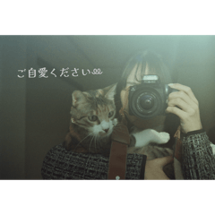 kirara_20260131234000