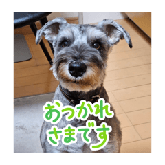 Aoi4894_20260131224204