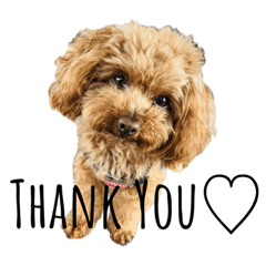 Hikaru_20260130232701