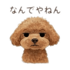 umi_white!_20260201005807