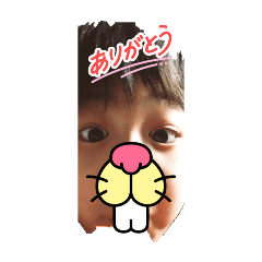 cakura_20260201005405