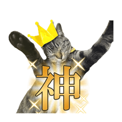 yamase_20260201004754