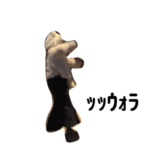 harupeco_20260201013047