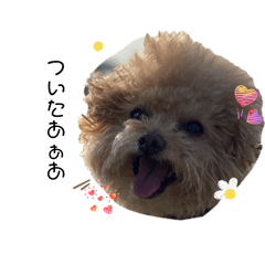 ripkun_20260201012121