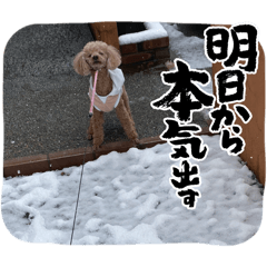 tomomi_20260201022112